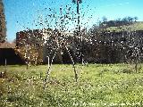 Baos rabes. Noria y acueducto