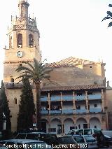 Colegiata Santa Mara la Mayor. 
