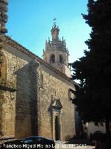 Colegiata Santa Mara la Mayor. Lateral