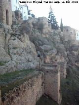 Murallas de Ronda. Murallas de la Cijara