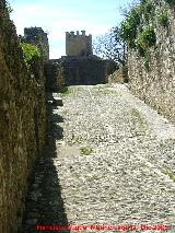 Murallas de Ronda. Murallas de la Cijara