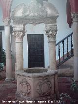 Palacio de Mondragn. Pozo