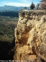 Tajo. 