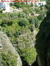 Jardines de Cuenca. 