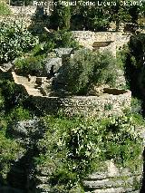 Jardines de Cuenca. 