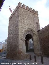 Puerta de San Antonio. 