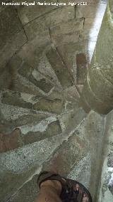 Baslica de Santa Mara. Escaleras de caracol