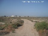 Parque Natural de las Salinas de Santa Pola. 