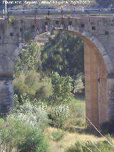 Puente de Sorbas. Ojo del puente