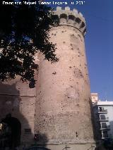 Torres de Quart. Restos de caonazos