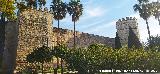 Alc�zar de Jerez