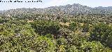Provincia de Ja�n. Sierra Morena desde el Encinarejo