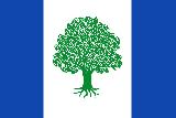 Olmeda de Cobeta. Bandera