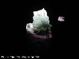 Cueva del Barranco de la Hoz. 