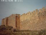 Castillo de Molina de Aragn. Murallas del recinto exterior