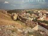 Castillo de Molina de Aragn. Murallas del recinto exterior