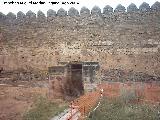 Castillo de Molina de Aragn. Aljibe