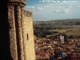 Castillo de Molina de Aragn. Vistas