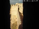 Castillo de Molina de Aragn. Torre de los Caballeros