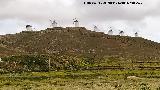 Molinos de Consuegra