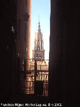 Catedral de Santa Mara. Campanario