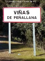 Aldea Vias de Peallana. Cartel