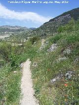Tajo de las Palomas. Camino