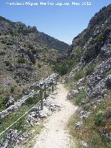 Tajo de las Palomas. Camino