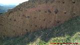 Mechinal. Muralla Sur de Jan
