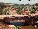 Puente Viejo de las Rentillas. Con el parapeto tirado