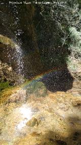 Arcoris. Cueva Cuarta de la Hueta - Orcera