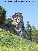 Muralla. Torren IV. 