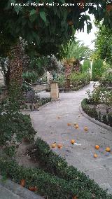 Palacio de Jabalquinto. Jardines