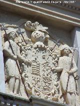 Palacio de la Calle San Pedro n 16. Escudo