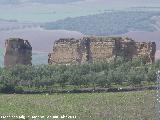 Castillo de Osuna. 