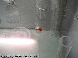 Yacimiento de Urso. Anillo de vidrio romano