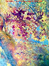 Tratada con Dstretch