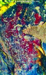 Pinturas rupestres de la Pe�a del Gorri�n V. Tratada con Dstretch