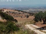 Cortijo de la Fuente de la Zarza. 