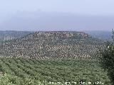 Cerro Las Umbras