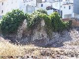 Ruinas en la Avenida Fuente de la Villa