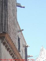 Catedral de Valencia. Grgolas. 