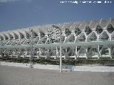 Ciudad de las Artes y las Ciencias. Museo de las Ciencias Prncipe Felipe. 