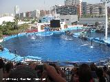 Ciudad de las Artes y las Ciencias. Oceanogrfico. Delfinario