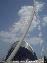 Puente de l`Assut de l`Or. 