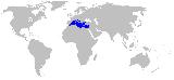 Posidonia - Posidonia oceanica. Distribucin