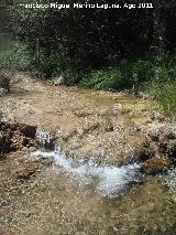 Arroyo del Torno