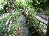 Jardn Botnico Pea del Olivar. 