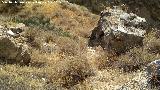 Castillo de Chincyar. 