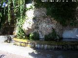 Nacimiento de La Moraleda